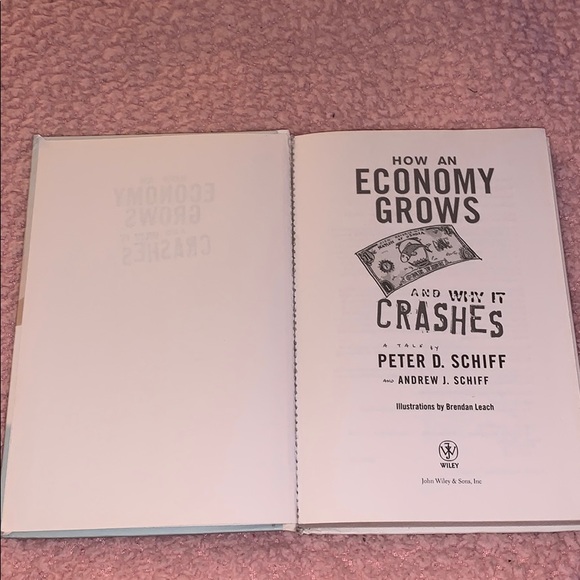 how an economy grows and why it crashes book - Picture 3 of 3